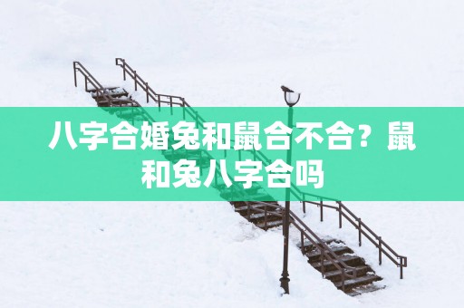 八字合婚兔和鼠合不合？鼠和兔八字合吗