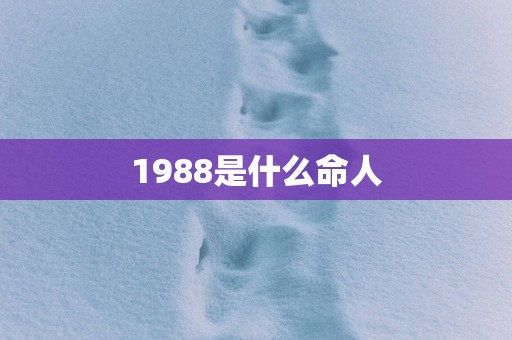 1988是什么命人