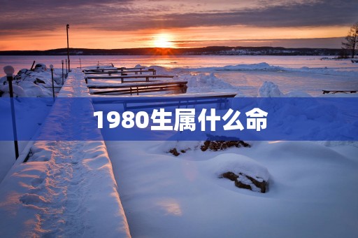 1980生属什么命
