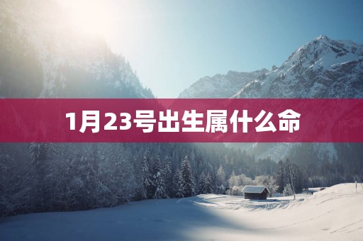 1月23号出生属什么命