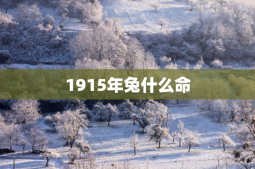 1915年兔什么命