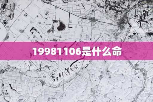 19981106是什么命