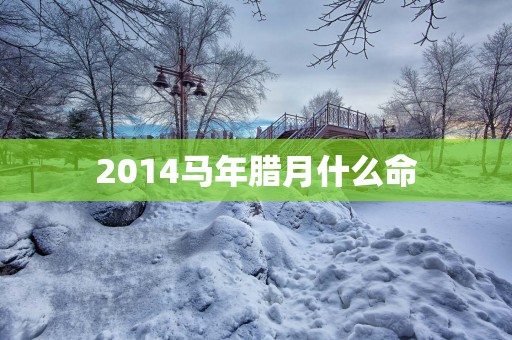 2014马年腊月什么命