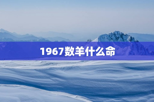 1967数羊什么命