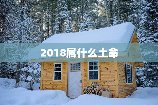 2018属什么土命