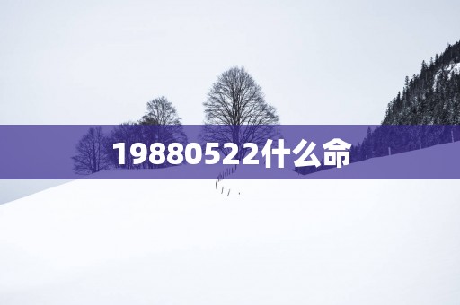 19880522什么命