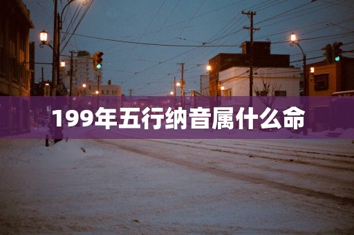 199年五行纳音属什么命