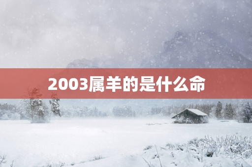 2003属羊的是什么命
