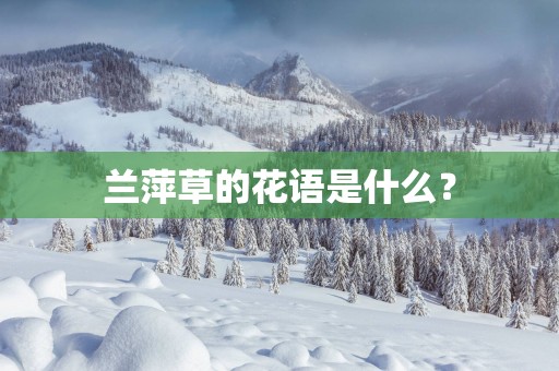 兰萍草的花语是什么？