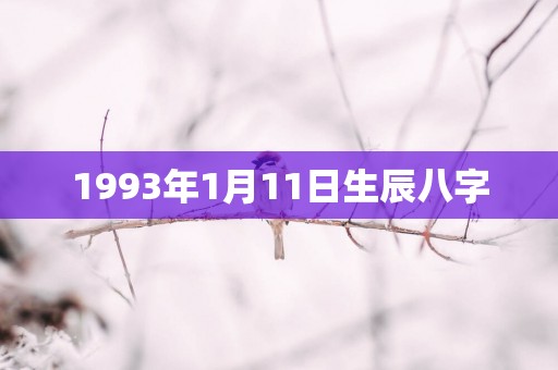 1993年1月11日生辰八字