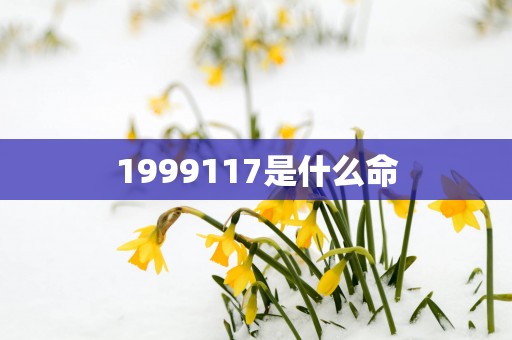 1999117是什么命