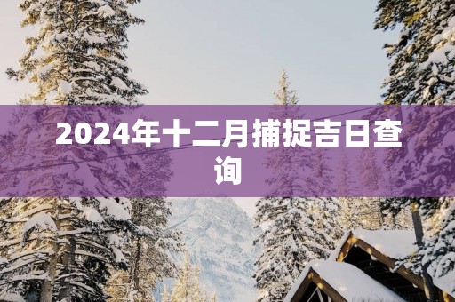 2025年十二月捕捉吉日查询