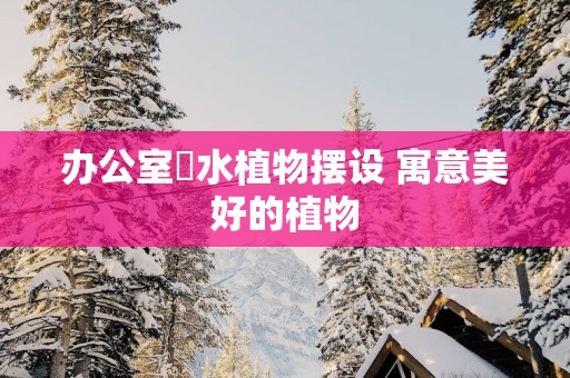 办公室風水植物摆设 寓意美好的植物