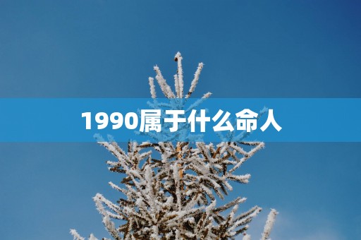 1990属于什么命人