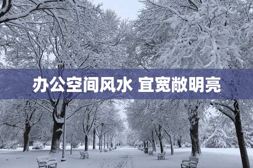 办公空间风水 宜宽敞明亮