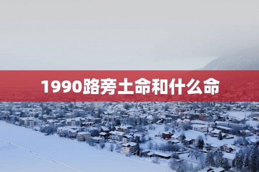 1990路旁土命和什么命