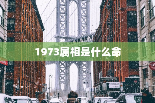 1973属相是什么命