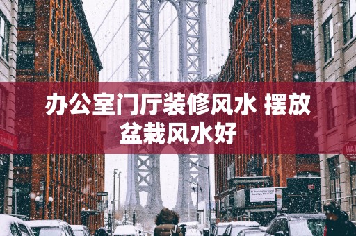 办公室门厅装修风水 摆放盆栽风水好