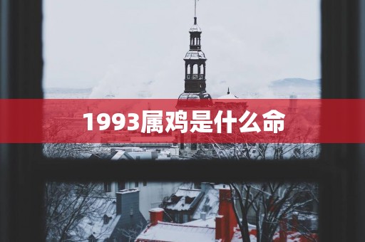 1993属鸡是什么命