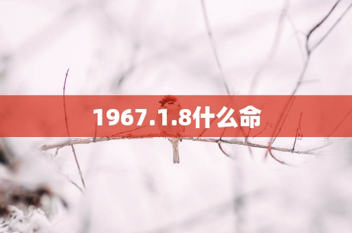1967.1.8什么命