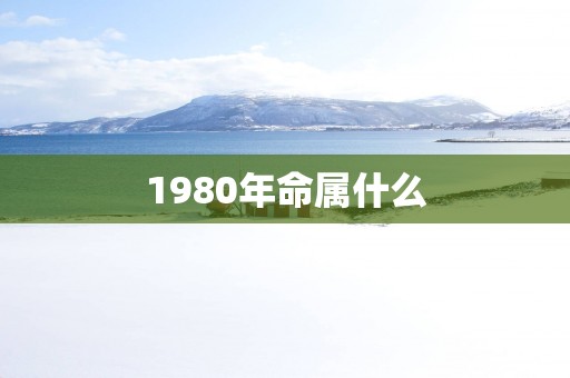 1980年命属什么