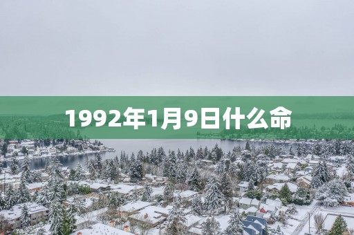 1992年1月9日什么命