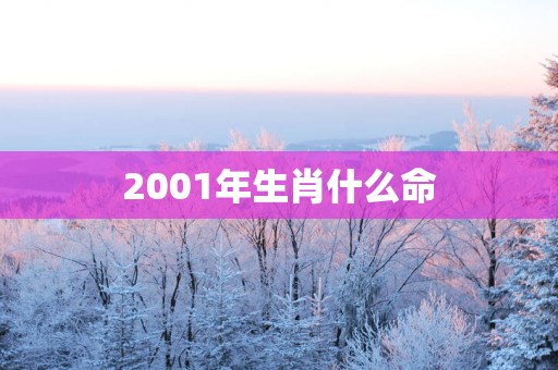 2001年生肖什么命