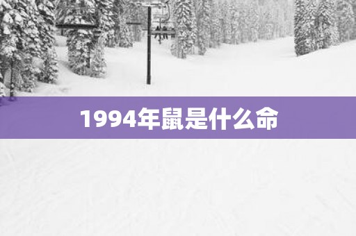 1994年鼠是什么命