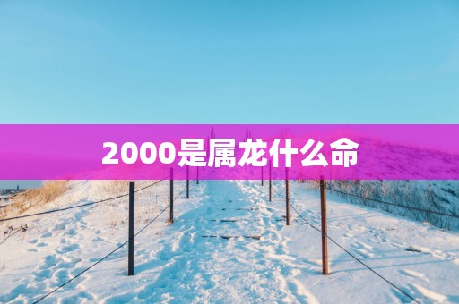 2000是属龙什么命