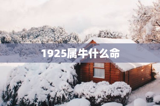 1925属牛什么命