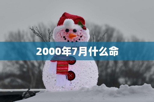 2000年7月什么命