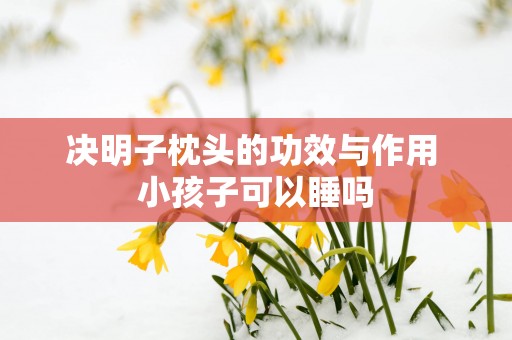 决明子枕头的功效与作用 小孩子可以睡吗