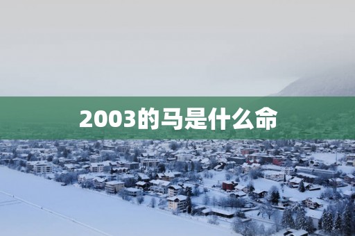 2003的马是什么命