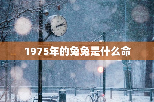1975年的兔兔是什么命
