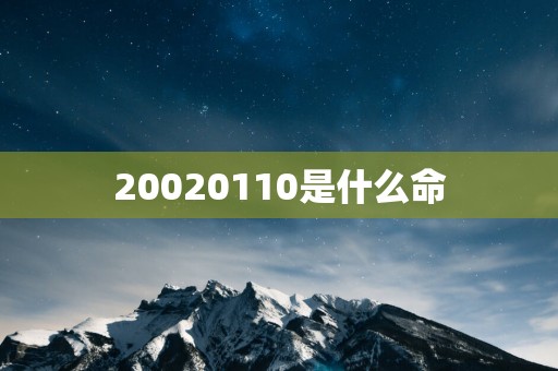 20020110是什么命