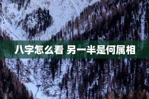 八字怎么看 另一半是何属相