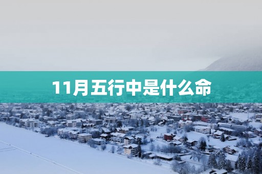 11月五行中是什么命