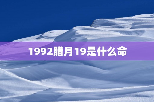 1992腊月19是什么命