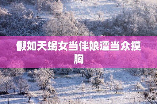 假如天蝎女当伴娘遭当众摸胸