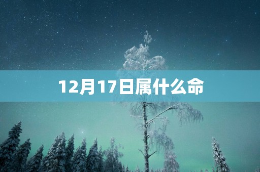12月17日属什么命