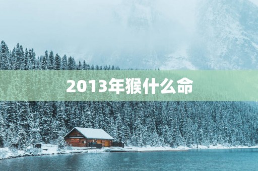2013年猴什么命