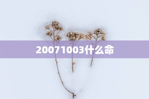 20071003什么命
