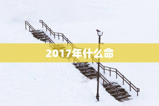 2017年什么命