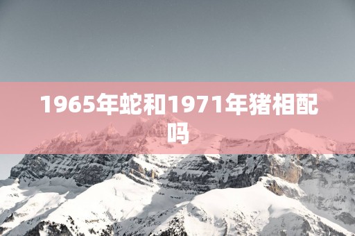 1965年蛇和1971年猪相配吗