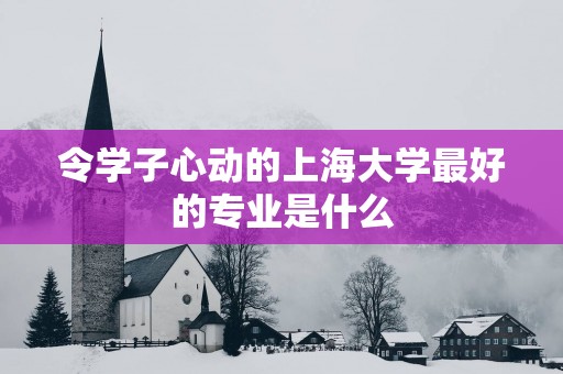 令学子心动的上海大学最好的专业是什么