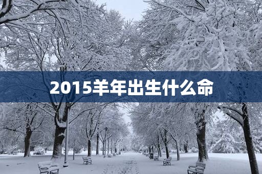 2015羊年出生什么命