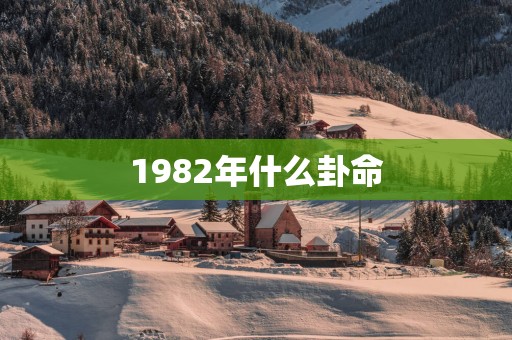 1982年什么卦命