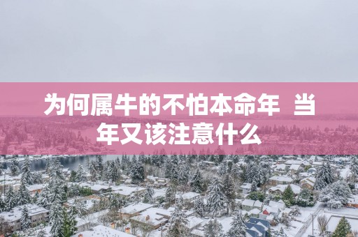 为何属牛的不怕本命年  当年又该注意什么