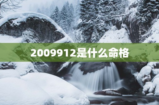 2009912是什么命格