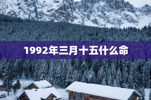 1992年三月十五什么命